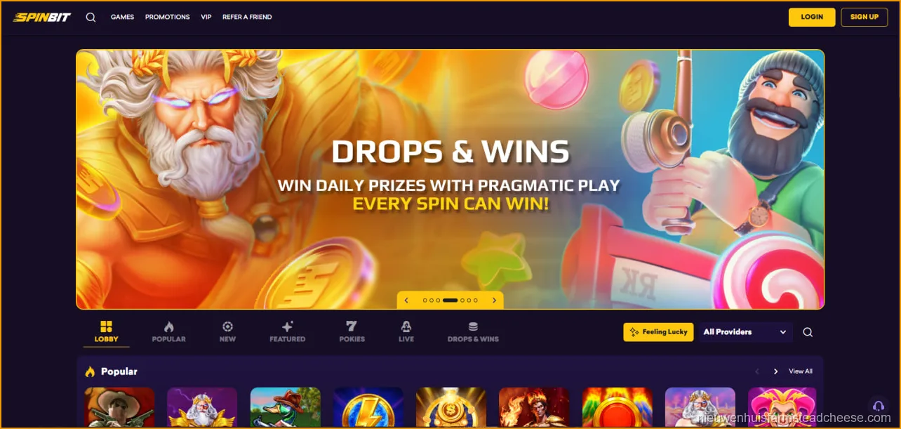 SpinBit Login NZ: Account Access, Registration and Player Dashboard